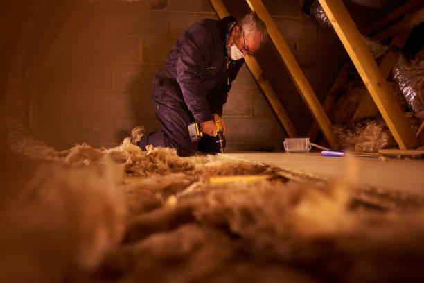 Best Insulation Removal  in Adams, WI